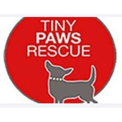 Tiny Paws Dog Rescue logo